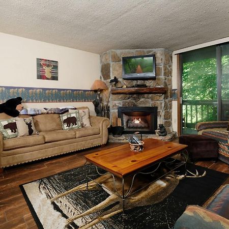 Bear Creek 167 Villa Gatlinburg Kültér fotó